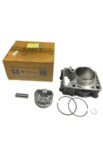 SİLİNDİR KOMPLE [ORJİNAL] BAJAJ PULSAR NS 200 RS 200 [36JL0007]
