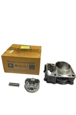 SİLİNDİR KOMPLE [ORJİNAL] BAJAJ PULSAR NS 200 RS 200 [36JL0007]