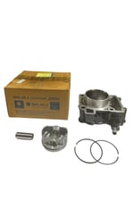 SİLİNDİR KOMPLE [ORJİNAL] BAJAJ PULSAR NS 200 RS 200 [36JL0007]