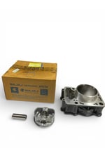 SİLİNDİR KOMPLE [ORJİNAL] BAJAJ PULSAR NS 200 RS 200 [36JL0007]