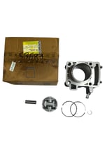 SİLİNDİR KOMPLE [ORJİNAL] BAJAJ PULSAR NS 200 RS 200 [36JL0007]