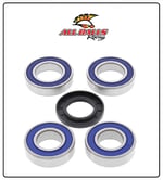 ALL BALLS RACING ABR TEKERLEK RULMAN TAKIMI