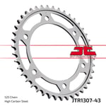 JTR1307-43 JT ARKA DİŞLİ