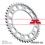 JTR1317-43 JT ARKA DİŞLİ