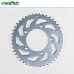 SUNSTAR ARKA DİŞLİ