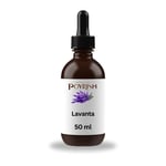Lavanta Mum Esansı 50 ml.