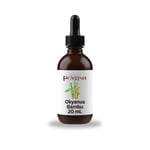 Okyanus Bambu Mum Esansı 20 ml.