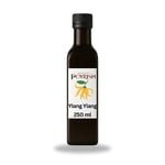Ylang Ylang Mum Esansı 250 ml.