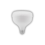 CATA CT-4155  55W KRİSTAL TORCH LED AMPUL (E-27)(BEYAZ)