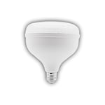 CATA CT-4165  65W KRİSTAL TORCH LED AMPUL (E-27)(BEYAZ)
