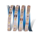 CATA CT-4482 10 ÇİP ŞERİT LET KIRMIZI