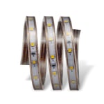 CATA CT-4550 220V DIŞ MEKAN ŞERİT LED KIRMIZI