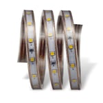 CATA CT-4553 220 V DIŞ MEKAN ŞERİT LED GÜN IŞIĞI
