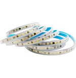 CATA CT-4596 220V 240 LED GÜN ŞIK YAPIŞKANLI