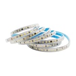 CATA CT-4596 220V 240 LED GÜN ŞIK YAPIŞKANLI