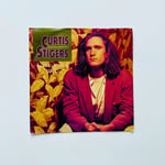 Curtis Stigers – I Wonder Why Dönem Baskı 45 lik Plak