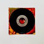 Curtis Stigers – I Wonder Why Dönem Baskı 45 lik Plak