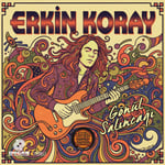 Erkin Koray - Gönül Salıncağı (Renkli Plak) - Plak