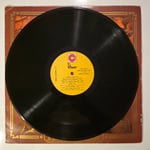Erol Evgin - Erol Evgin' 79 - Plak