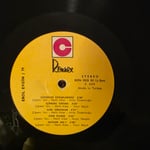 Erol Evgin - Erol Evgin' 79 - Plak