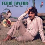Ferdi Tayfur - Merak etme sen- Picture Disc Plak