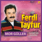 Ferdi Tayfur - Mor Güller - Plak