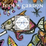 Fools Garden - Dish Of The Day (30th Anniversary) (remastered) (Limited Edition) (Blue & White Marble Vinyl) - Plak