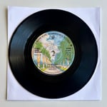 George Baker Selection – Paloma Blanca Dönem Baskı 45 lik Plak