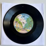George Baker Selection – Paloma Blanca Dönem Baskı 45 lik Plak
