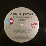 Gönül Yazar - İşte Benim Dünyam - Plak