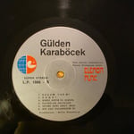 Gülden Karaböcek - Müzik Ve Ben - Plak