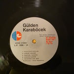 Gülden Karaböcek - Müzik Ve Ben - Plak