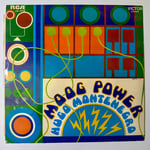 Hugo Montenegro – Moog Power –  Dönem Baskı Plak