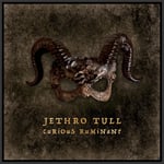 Jethro Tull - Curious Ruminant - Plak