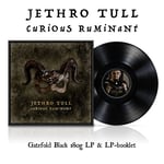 Jethro Tull - Curious Ruminant - Plak