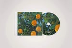 Lana Del Rey - Violet Bent Backwards over the Grass - CD