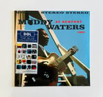 Muddy Waters - At Newport 1960 Cyan Blue Vinyl Edition Plak