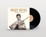 Neşet Ertaş - Bozkırın Tezenesi 1 - Plak