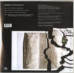 Radiohead - A Moon Shaped Pool - Plak