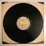 Various - The Piano, The Blues Vol. 2 - Dönem Baskı Plak