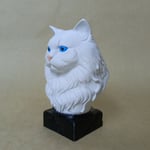 british longhair- Beyaz- Renkli Büst