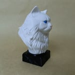 british longhair- Beyaz- Renkli Büst