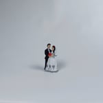 Büyük Gelin Damat - Teraryum Malzemesi
