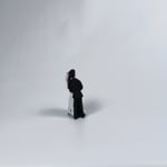 Büyük Gelin Damat - Teraryum Malzemesi