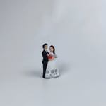 Büyük Gelin Damat - Teraryum Malzemesi