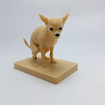 Chihuahua - Biblo