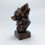 CHIHUAHUA LONG HAIR-SİYAH BÜST