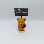 Çiçekli ayıcık - Seni Seviyorum