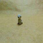 Dalmaçyalı Köpek-Teraryum Malzemesi