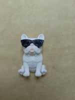 Gözlüklü - Beyaz Bulldog  Magnet